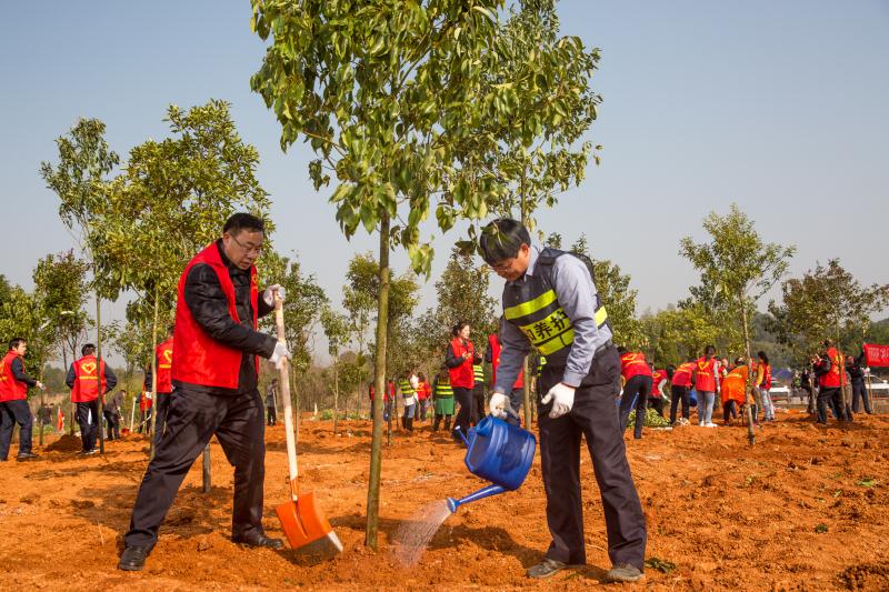 AG��˾(�й���)�����޹�˾����