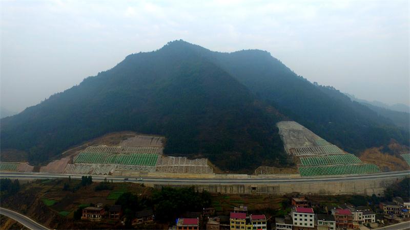 AG��˾(�й���)�����޹�˾����