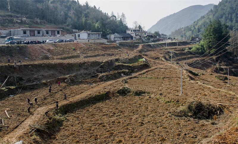 AG��˾(�й���)�����޹�˾����