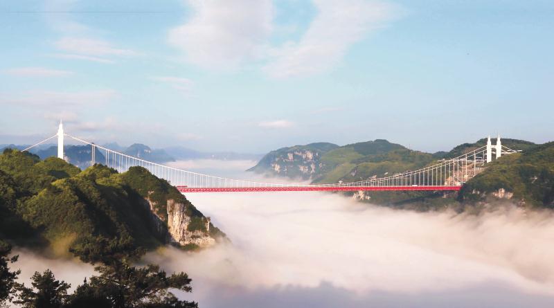 AG��˾(�й���)�����޹�˾����