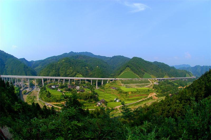 AG��˾(�й���)�����޹�˾����